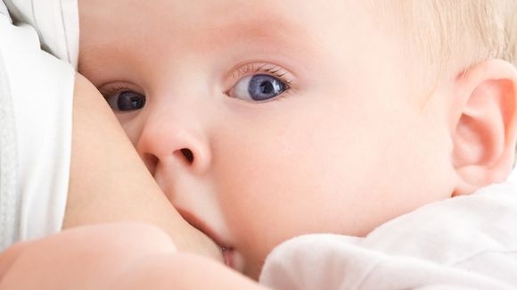 Грудное молоко содержит более 700 видов бактерий