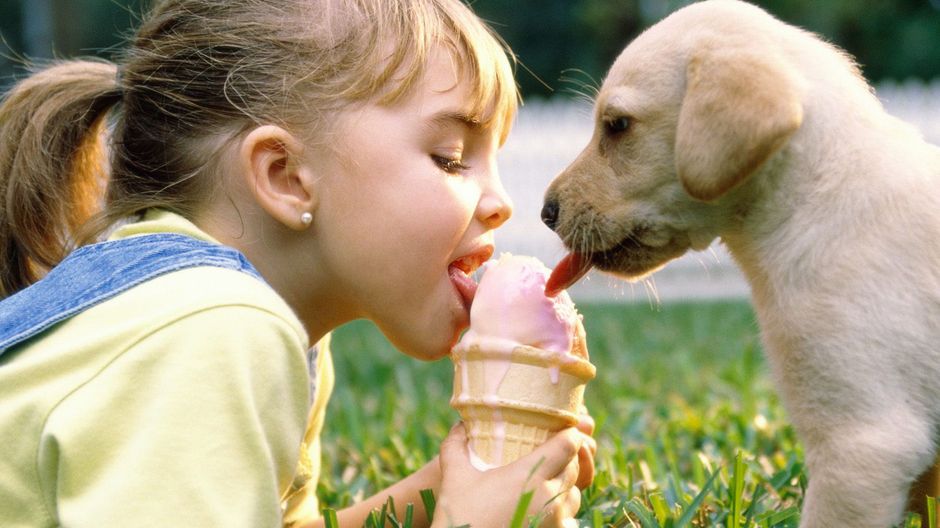 Присутствие животных в семье обогащает жизнь детей