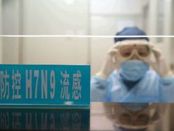 Ученые определили происхождение H7N9