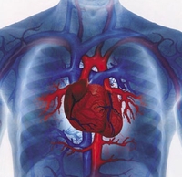 Использование электростимуляции для уменьшения размеров сердца у больных с сердечной недостаточностью