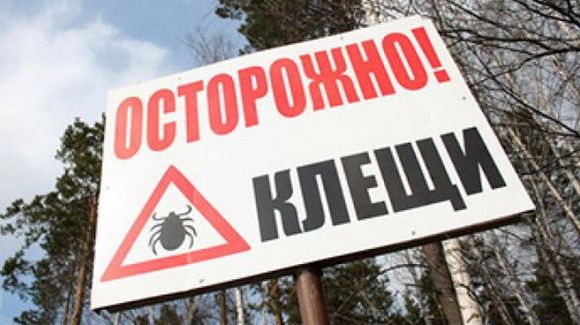 В Минске нашли 12 очагов обитания клещей