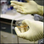 Опасность стволовых клеток