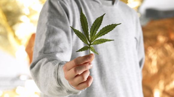 Использование марихуаны подростками снижает их IQ